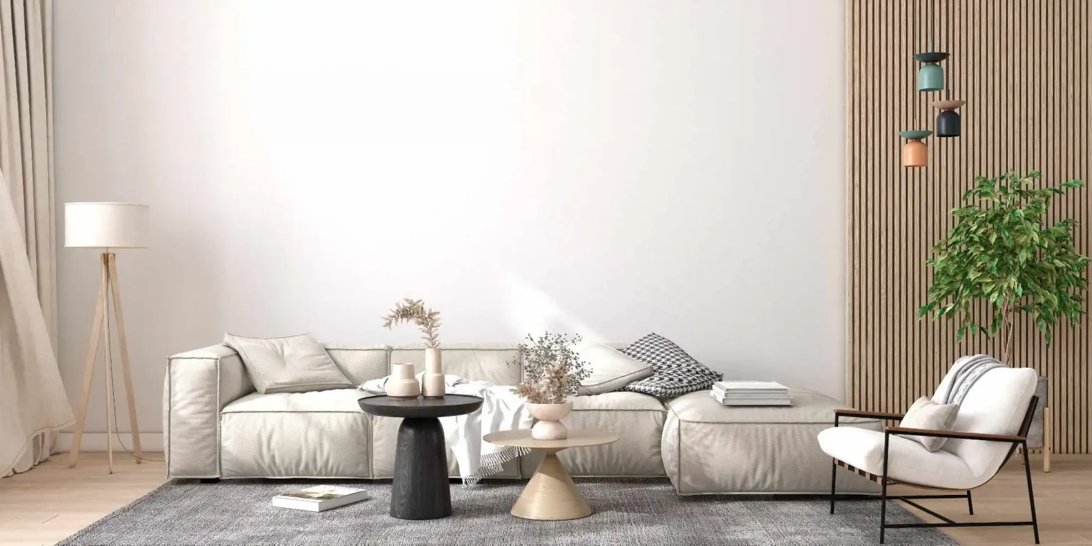Columbia MO Modern Living Room Sofa Interior